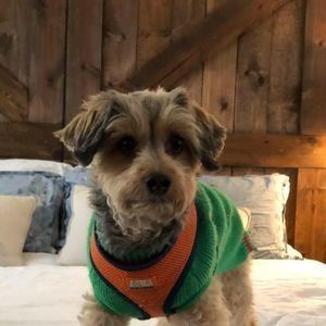 Meet your Posher, Lynessa